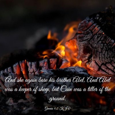 Picture 03 - Genesis 4:2 KJV - And she again bare his brother Abel. And Abel was - Bible Verse Picture