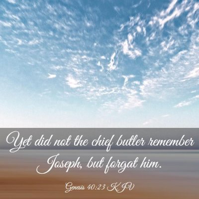 Picture 03 - Genesis 40:23 KJV - Yet did not the chief butler remember Joseph, but - Bible Verse Picture