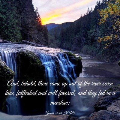 Picture 03 - Genesis 41:18 KJV - And, behold, there came up out of the river seven - Bible Verse Picture