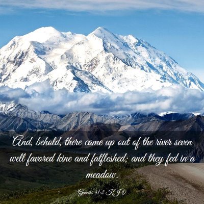 Picture 03 - Genesis 41:2 KJV - And, behold, there came up out of the river seven - Bible Verse Picture