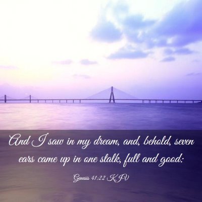 Picture 03 - Genesis 41:22 KJV - And I saw in my dream, and, behold, seven ears - Bible Verse Picture