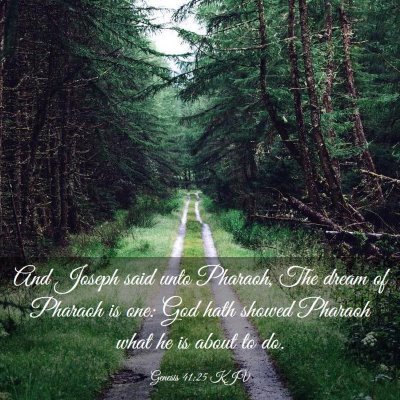 Picture 03 - Genesis 41:25 KJV - And Joseph said unto Pharaoh, The dream of - Bible Verse Picture