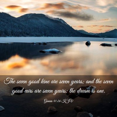 Picture 03 - Genesis 41:26 KJV - The seven good kine are seven years; and the - Bible Verse Picture