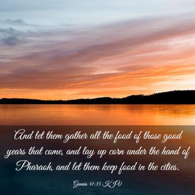 Picture 03 - Genesis 41:35 KJV - And let them gather all the food of those good - Bible Verse Picture