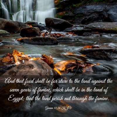 Picture 03 - Genesis 41:36 KJV - And that food shall be for store to the land - Bible Verse Picture