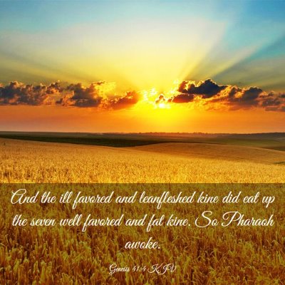 Picture 03 - Genesis 41:4 KJV - And the ill favored and leanfleshed kine did eat - Bible Verse Picture