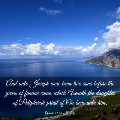 Picture 03 - Genesis 41:50 KJV - And unto Joseph were born two sons before the - Bible Verse Picture