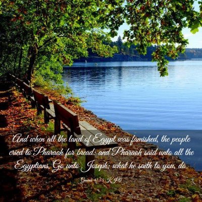 Picture 03 - Genesis 41:55 KJV - And when all the land of Egypt was famished, the - Bible Verse Picture