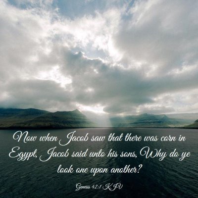 Picture 03 - Genesis 42:1 KJV - Now when Jacob saw that there was corn in Egypt, - Bible Verse Picture