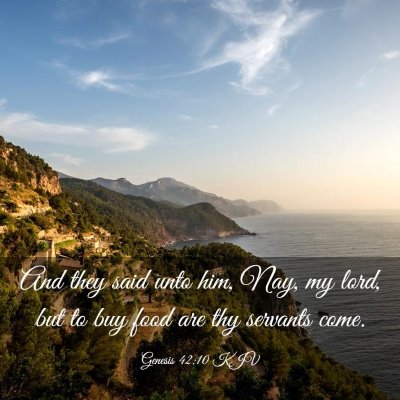 Picture 03 - Genesis 42:10 KJV - And they said unto him, Nay, my lord, but to buy - Bible Verse Picture
