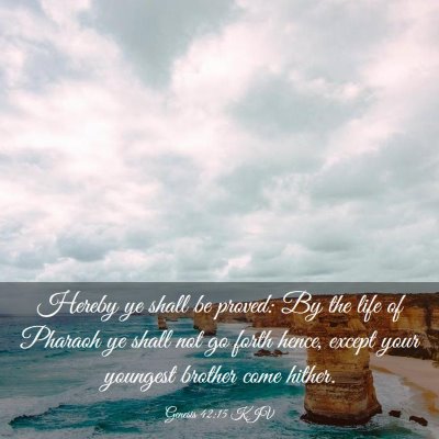 Picture 03 - Genesis 42:15 KJV - Hereby ye shall be proved: By the life of Pharaoh - Bible Verse Picture