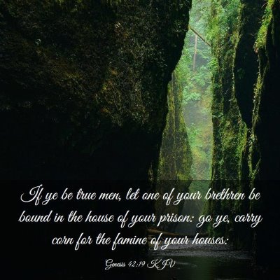 Picture 03 - Genesis 42:19 KJV - If ye be true men, let one of your brethren be - Bible Verse Picture