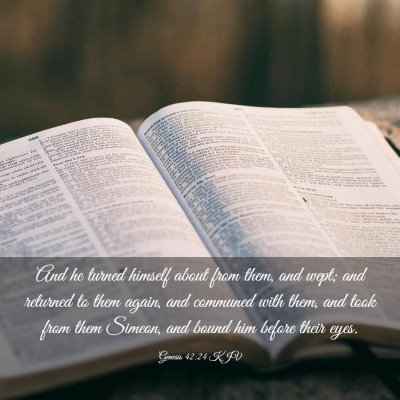 Picture 03 - Genesis 42:24 KJV - And he turned himself about from them, and wept; - Bible Verse Picture