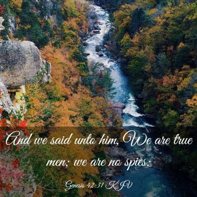 Picture 03 - Genesis 42:31 KJV - And we said unto him, We are true men; we are no - Bible Verse Picture