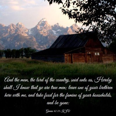 Picture 03 - Genesis 42:33 KJV - And the man, the lord of the country, said unto - Bible Verse Picture