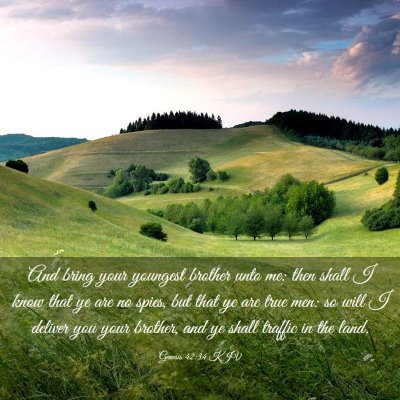 Picture 03 - Genesis 42:34 KJV - And bring your youngest brother unto me: then - Bible Verse Picture