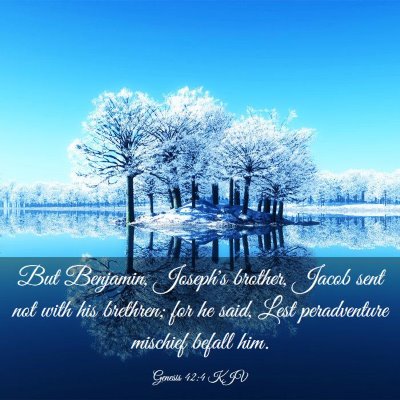 Picture 03 - Genesis 42:4 KJV - But Benjamin, Joseph's brother, Jacob sent not - Bible Verse Picture