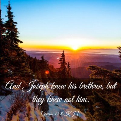Picture 03 - Genesis 42:8 KJV - And Joseph knew his brethren, but they knew not - Bible Verse Picture
