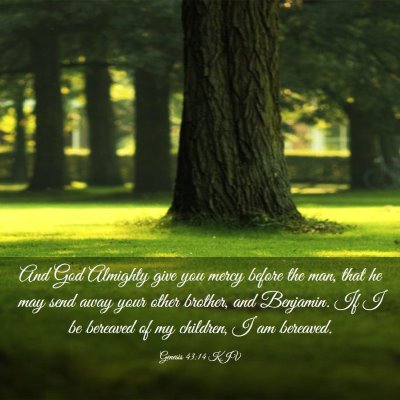 Picture 03 - Genesis 43:14 KJV - And God Almighty give you mercy before the man, - Bible Verse Picture
