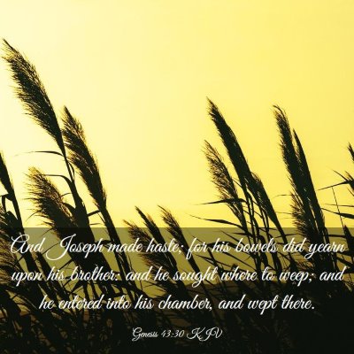 Picture 03 - Genesis 43:30 KJV - And Joseph made haste; for his bowels did yearn - Bible Verse Picture