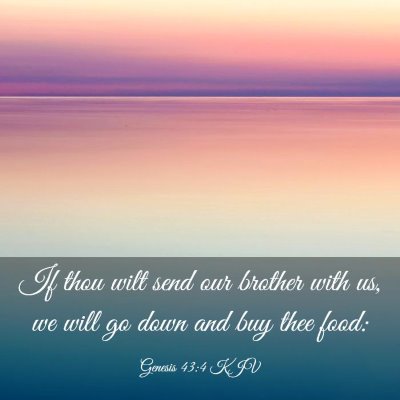 Picture 03 - Genesis 43:4 KJV - If thou wilt send our brother with us, we will go - Bible Verse Picture