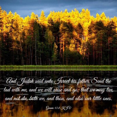 Picture 03 - Genesis 43:8 KJV - And Judah said unto Israel his father, Send the - Bible Verse Picture