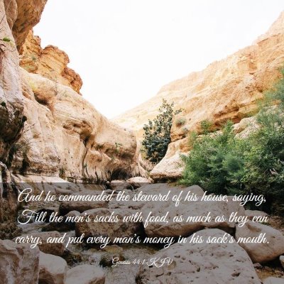 Picture 03 - Genesis 44:1 KJV - And he commanded the steward of his house, - Bible Verse Picture