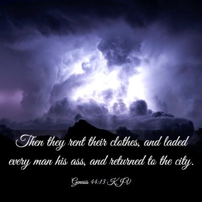 Picture 03 - Genesis 44:13 KJV - Then they rent their clothes, and laded every man - Bible Verse Picture