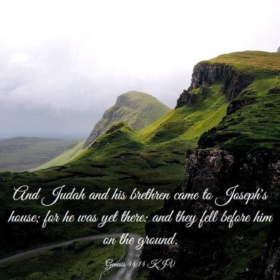 Picture 03 - Genesis 44:14 KJV - And Judah and his brethren came to Joseph's - Bible Verse Picture