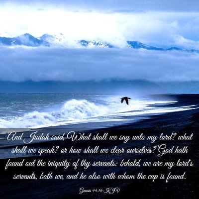 Picture 03 - Genesis 44:16 KJV - And Judah said, What shall we say unto my lord? - Bible Verse Picture