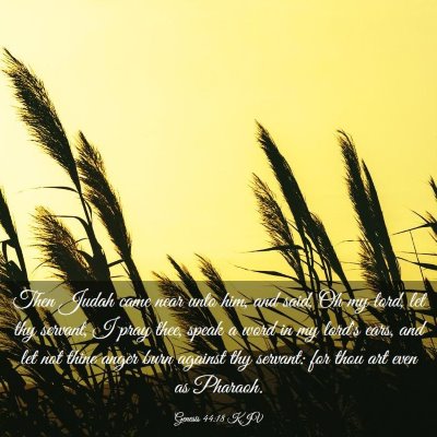Picture 03 - Genesis 44:18 KJV - Then Judah came near unto him, and said, Oh my - Bible Verse Picture