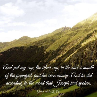 Picture 03 - Genesis 44:2 KJV - And put my cup, the silver cup, in the sack's - Bible Verse Picture