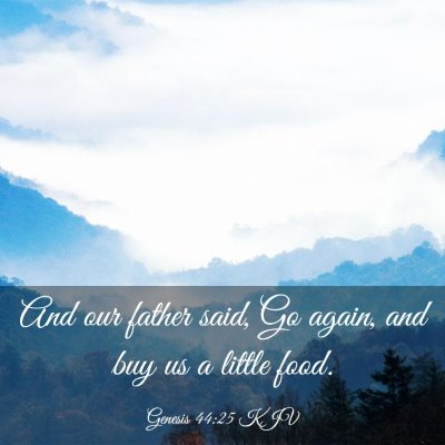 Picture 03 - Genesis 44:25 KJV - And our father said, Go again, and buy us a - Bible Verse Picture