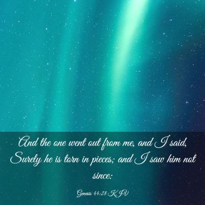 Picture 03 - Genesis 44:28 KJV - And the one went out from me, and I said, Surely - Bible Verse Picture