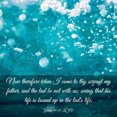 Picture 03 - Genesis 44:30 KJV - Now therefore when I come to thy servant my - Bible Verse Picture