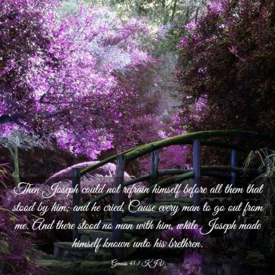 Picture 03 - Genesis 45:1 KJV - Then Joseph could not refrain himself before all - Bible Verse Picture