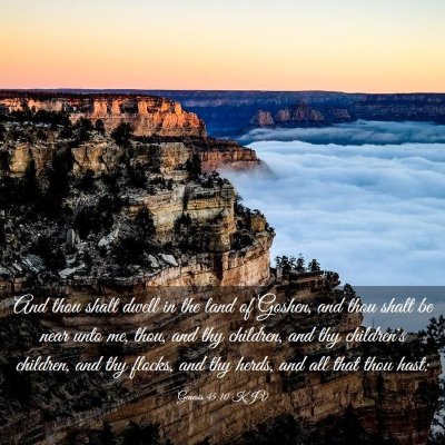 Picture 03 - Genesis 45:10 KJV - And thou shalt dwell in the land of Goshen, and - Bible Verse Picture
