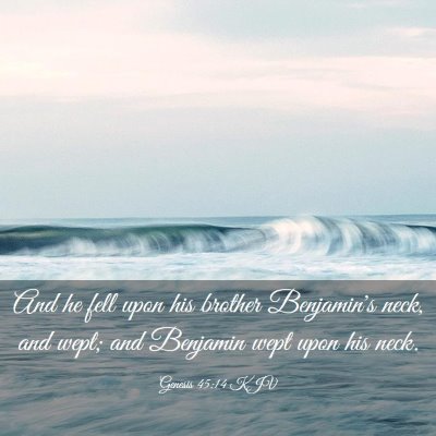 Picture 03 - Genesis 45:14 KJV - And he fell upon his brother Benjamin's neck, and - Bible Verse Picture