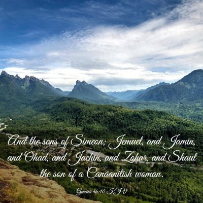 Picture 03 - Genesis 46:10 KJV - And the sons of Simeon; Jemuel, and Jamin, and - Bible Verse Picture
