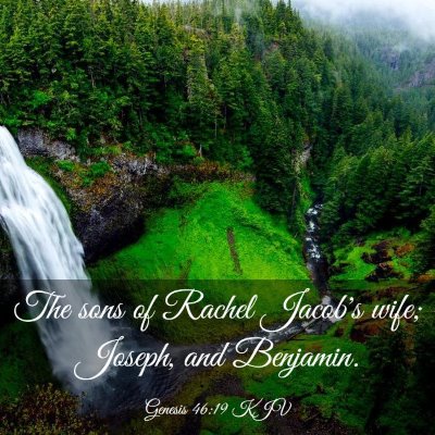 Picture 03 - Genesis 46:19 KJV - The sons of Rachel Jacob's wife; Joseph, and - Bible Verse Picture
