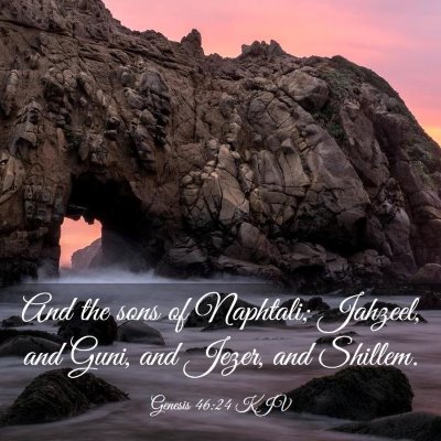 Picture 03 - Genesis 46:24 KJV - And the sons of Naphtali; Jahzeel, and Guni, and - Bible Verse Picture