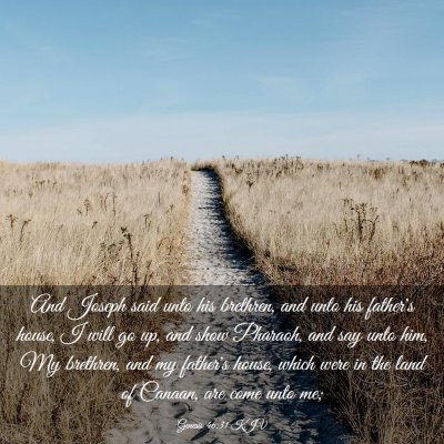 Picture 03 - Genesis 46:31 KJV - And Joseph said unto his brethren, and unto his - Bible Verse Picture