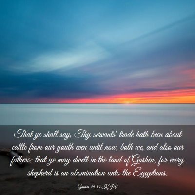 Picture 03 - Genesis 46:34 KJV - That ye shall say, Thy servants' trade hath been - Bible Verse Picture
