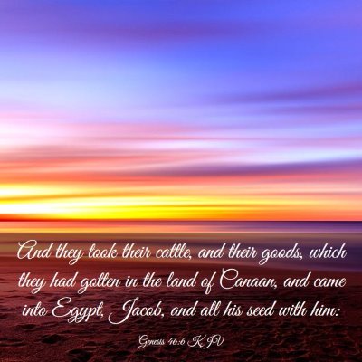 Picture 03 - Genesis 46:6 KJV - And they took their cattle, and their goods, - Bible Verse Picture