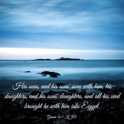Picture 03 - Genesis 46:7 KJV - His sons, and his sons' sons with him, his - Bible Verse Picture