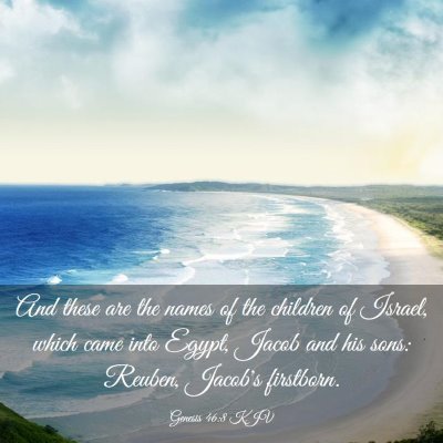 Picture 03 - Genesis 46:8 KJV - And these are the names of the children of - Bible Verse Picture