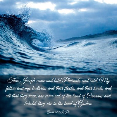 Picture 03 - Genesis 47:1 KJV - Then Joseph came and told Pharaoh, and said, My - Bible Verse Picture