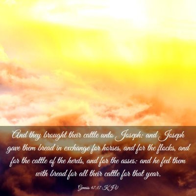 Picture 03 - Genesis 47:17 KJV - And they brought their cattle unto Joseph: and - Bible Verse Picture