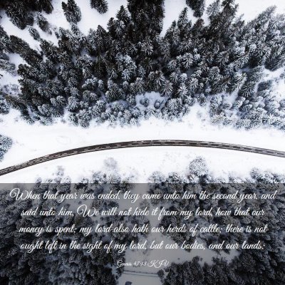 Picture 03 - Genesis 47:18 KJV - When that year was ended, they came unto him the - Bible Verse Picture
