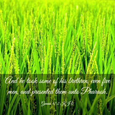 Picture 03 - Genesis 47:2 KJV - And he took some of his brethren, even five men, - Bible Verse Picture